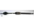 Hnac hdel LBRO ‐ LOB 305036
