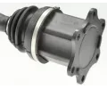 LBRO Hnac hdel LOB 305072, 305072