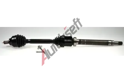 LBRO Hnac hdel LOB 305157, 305157