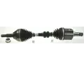 Hnac hdel LBRO ‐ LOB 305167