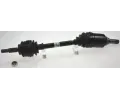 Hnac hdel LBRO ‐ LOB 305186