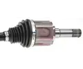 LBRO Hnac hdel LOB 305213, 305213