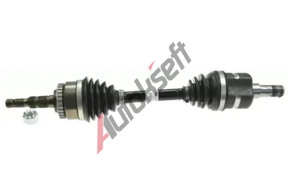 LBRO Hnac hdel LOB 305219, 305219