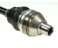 LBRO Hnac hdel LOB 305232, 305232