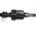 LBRO Hnac hdel LOB 305255, 305255