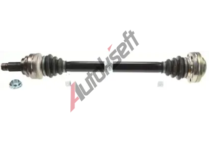 LBRO Hnac hdel LOB 305289, 305289