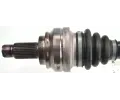 LBRO Hnac hdel LOB 305289, 305289