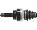 LBRO Hnac hdel LOB 305294, 305294
