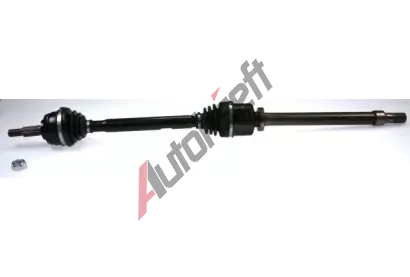 LBRO Hnac hdel LOB 305316, 305316