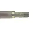 LBRO Hnac hdel LOB 305318, 305318