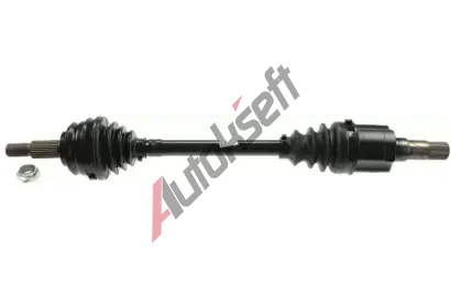 LBRO Hnac hdel LOB 305325, 305325