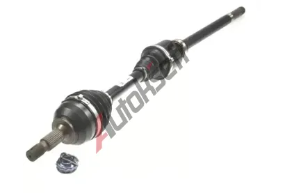 LBRO Hnac hdel LOB 305398, 305398