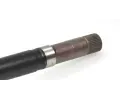 LBRO Hnac hdel LOB 305398, 305398