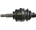 LBRO Hnac hdel LOB 305447, 305447