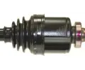 LBRO Hnac hdel LOB 305485, 305485