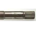 LBRO Hnac hdel LOB 305485, 305485