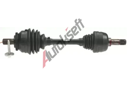 LBRO Hnac hdel LOB 305559, 305559