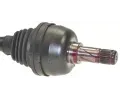 LBRO Hnac hdel LOB 305559, 305559