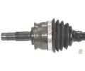 LBRO Hnac hdel LOB 305585, 305585