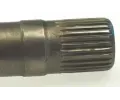 LBRO Hnac hdel LOB 305665, 305665