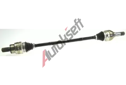 LBRO Hnac hdel LOB 305719, 305719