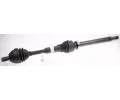 Hnac hdel LBRO ‐ LOB 305725