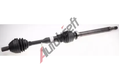 LBRO Hnac hdel LOB 305725, 305725