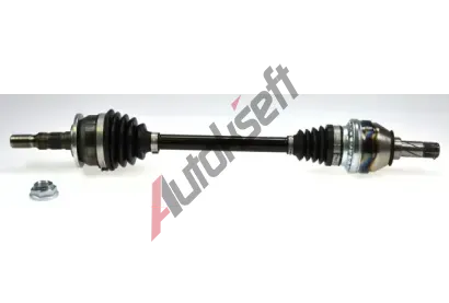 LBRO Hnac hdel LOB 305788, 305788