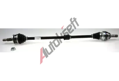LBRO Hnac hdel LOB 305789, 305789