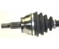 LBRO Hnac hdel LOB 305792, 305792