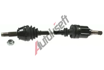 LBRO Hnac hdel LOB 305829, 305829