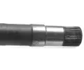 LBRO Hnac hdel LOB 305832, 305832