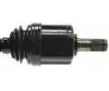 LBRO Hnac hdel LOB 305853, 305853