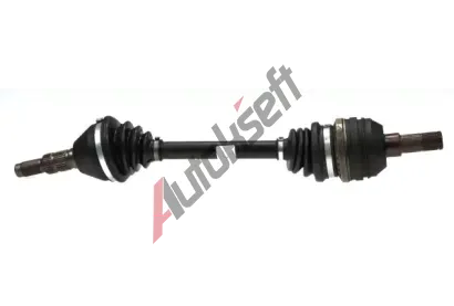 LBRO Hnac hdel LOB 305858, 305858