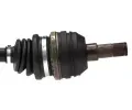 LBRO Hnac hdel LOB 305858, 305858