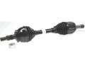 Hnac hdel LBRO ‐ LOB 305926