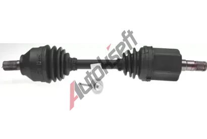 LBRO Hnac hdel LOB 305937, 305937