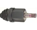 LBRO Hnac hdel LOB 305937, 305937
