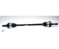 Hnac hdel LBRO ‐ LOB 305978