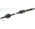 Hnac hdel LBRO ‐ LOB 306028