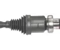 LBRO Hnac hdel LOB 306028, 306028