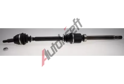 LBRO Hnac hdel LOB 306730, 306730