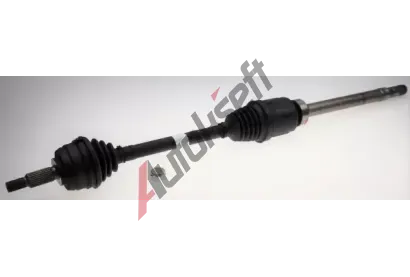 LBRO Hnac hdel LOB 306732, 306732