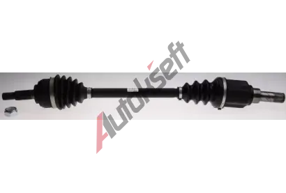 LBRO Hnac hdel LOB 306737, 306737
