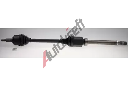 LBRO Hnac hdel LOB 306767, 306767