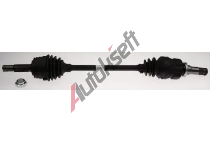 LBRO Hnac hdel LOB 306785, 306785