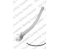 Paket pruin LESJFORS ‐ LSJ 5856828