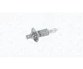 MAGNETI MARELLI rovka dlkovho svtlometu ‐ MAG 002551100000