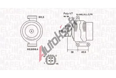 MAGNETI MARELLI Alterntor MAG 063731980010, 063731980010
