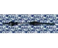 Hnac hdel MAGNETI MARELLI ‐ MAG 302004190038